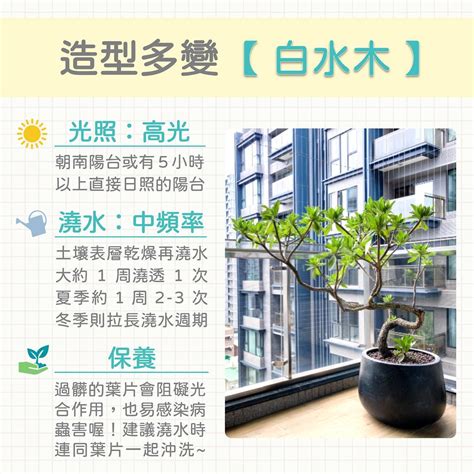 生活品植|生活品植 Plants & Life (@lifestyle.plant)